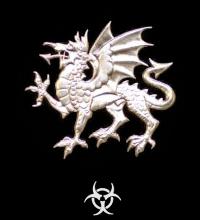 Drache